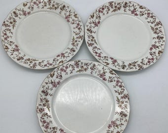 Ridgway社　ミッドセンチュリー　大小プレート４枚セット　ヴィンテージ Set of 4 Vintage Ridgway “woodland” Salad Plates - Etsy