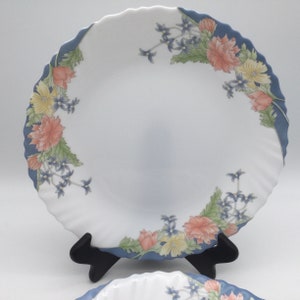 Vintage Arcopal France Florine  Pattern / Set of 6 Luncheon  Plates  / 9 7/8” / Opal Glass / France / Discontinued