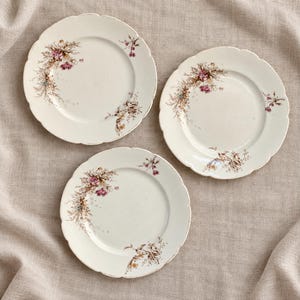 May include: Three round, off-white ceramic plates with scalloped edges. Each plate features a delicate floral pattern in shades of pink, brown, and muted blue, arranged in a curved, asymmetrical spray along the rim and extending toward the center.