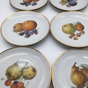 US Zone Germany PT Tirschenreuth Fruit Pattern /  Set of 11 Luncheon Plates /  Bavaria Germany  / Bavaria