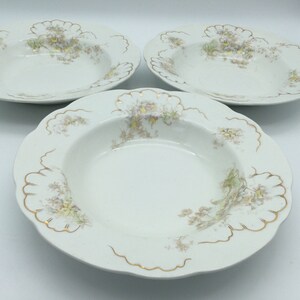 Antique Bishop & Stonier W335 Imperial Semi Porcelain Set of 3 Rimmed Soup Bowls /  Aesthetic Era Transfer / 1896
