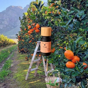 ENERGÍA - Pomelo + Menta + Romero - Aceites esenciales para difusor de ambiente, sinergia de aceites esenciales vigorizantes
