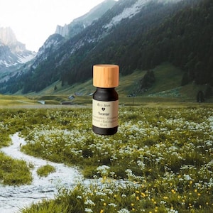 RECENTER - Cedro + Romero + Eucalipto + Geranio - Sinergia de aceites esenciales para difusor de ambiente. ecolovestores synergy