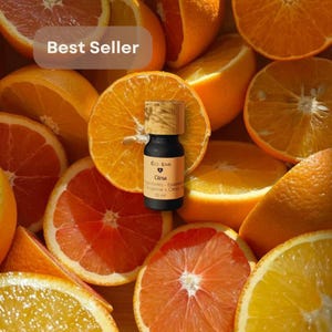 CITRUS Citrus Synergy – Orange + Mandarine + Grüne Mandarine + Zitrone – Ätherische Öle für Raumdiffusoren ecolovestores