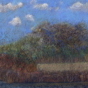 Birdwatching. Original soft pastel painting/drawing in a modern semi abstract impressionistic style.