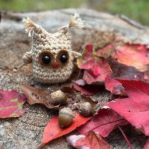 Crochet Owl, Ollie the Owl, Unique Nature Gift, Owl Amigurumi, Tiered Tray Decor, Shelf Sitter, Rustic Farmhouse Decor, Pocket Pal