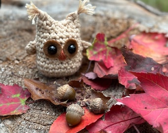 Crochet Owl, Ollie the Owl, Unique Nature Gift, Owl Amigurumi, Tiered Tray Decor, Shelf Sitter, Rustic Farmhouse Decor, Pocket Pal