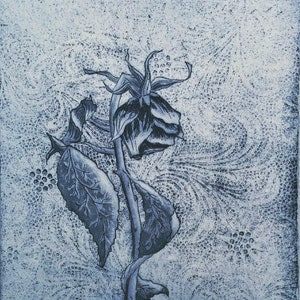 Withered #1 - Aquatint Etching