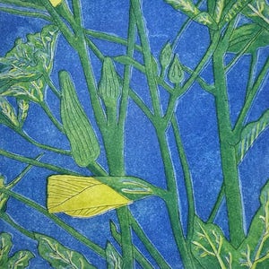 Okra - 3 Color Plate Aquatint Etching
