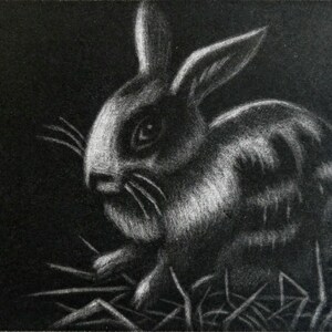 English Spot Bunny - Mezzotint Print