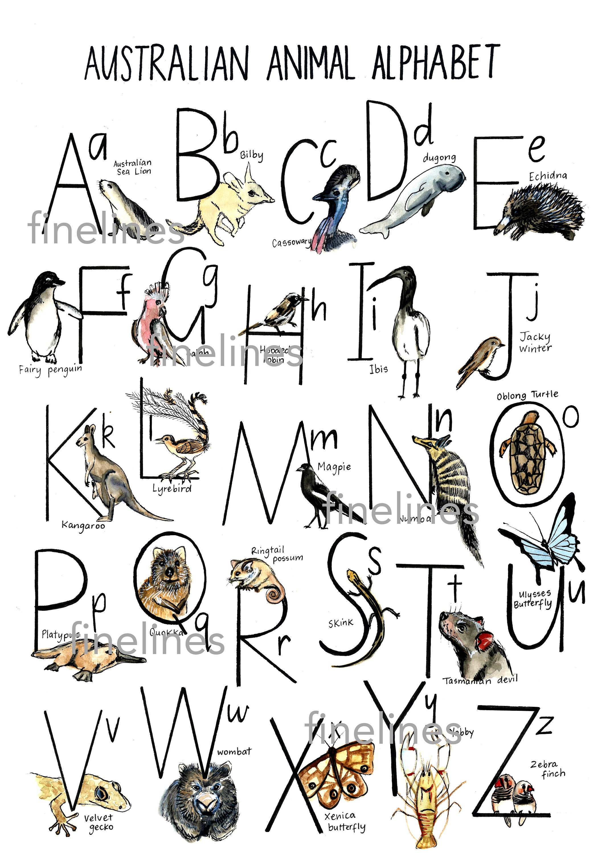Australian Animal Alphabet A3 Nursery Kids Bedroom Letters Etsy