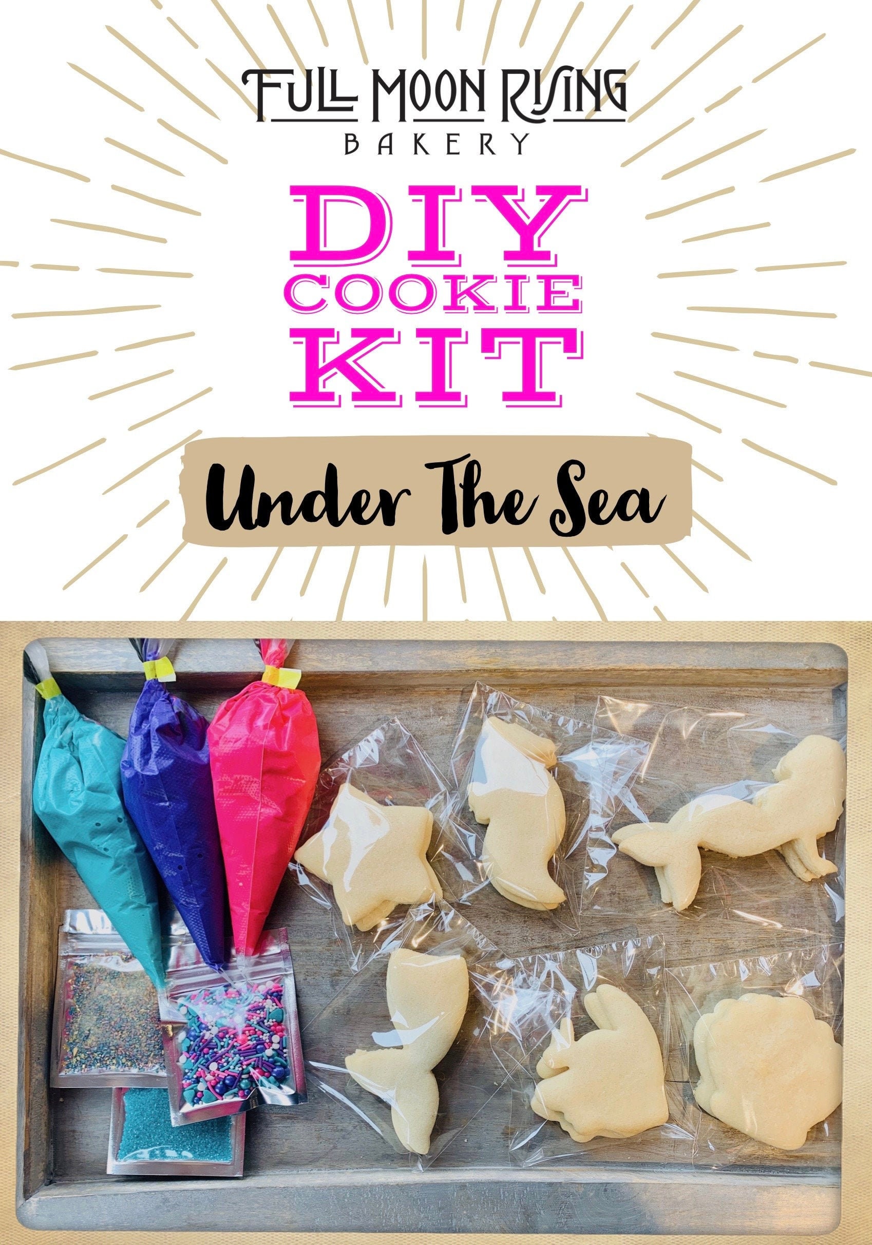Under The Sea Diy Cookie Kit Kids Family Activity Includes Etsy