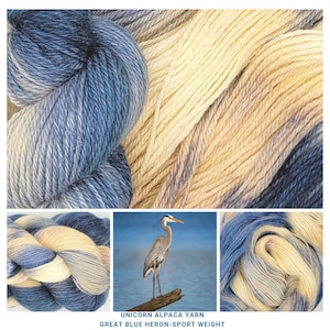 May include: A skein of Unicorn Alpaca yarn in the color Great Blue Heron. The yarn is a sport weight and has a gradient of blue and cream colors. The yarn is shown in three different ways: a close-up of the yarn, a skein of yarn, and a skein of yarn with a blue heron in the background.