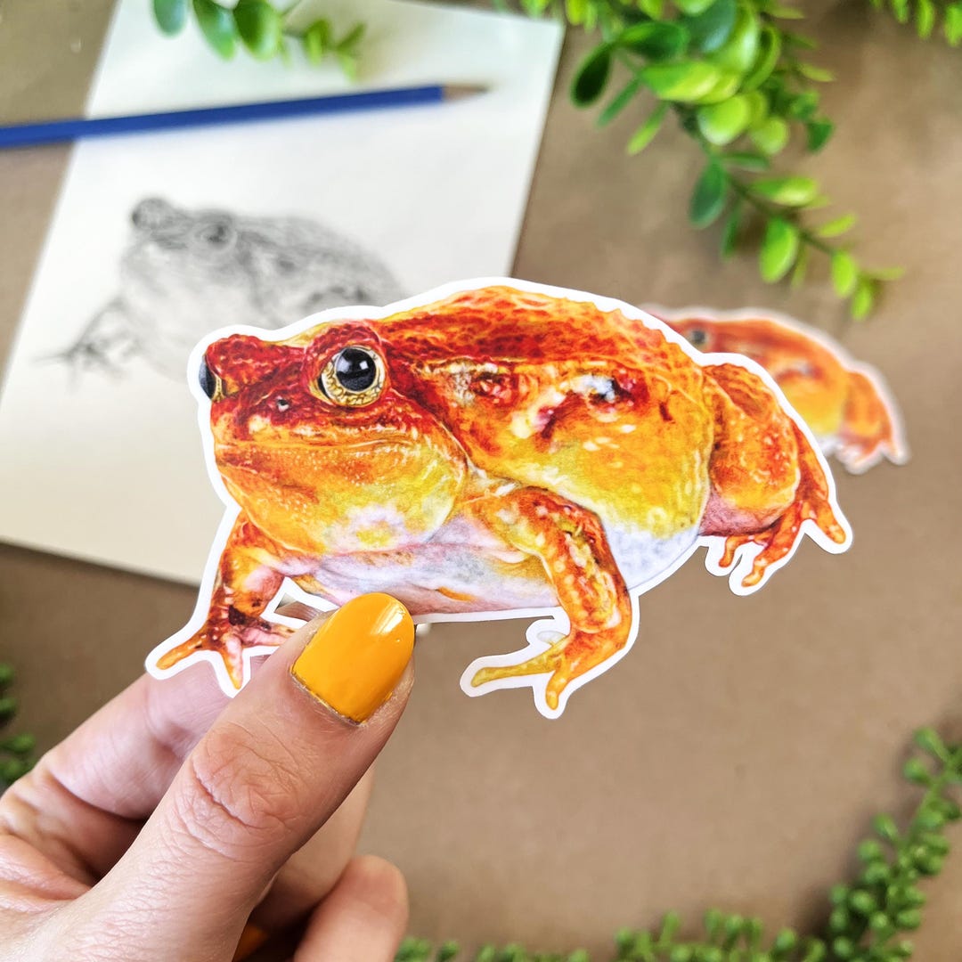 Tomato Frog Sticker – Large 4