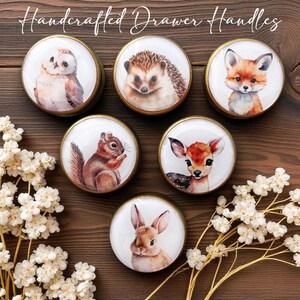 Op de afbeelding: Handgemaakte ladeknopjes met dierenillustraties. De set bevat knopjes met een uil, egel, vos, eekhoorn, hert en konijn. Elke knop heeft een witte achtergrond, een goudkleurige rand en een gedetailleerde dierenafbeelding.
