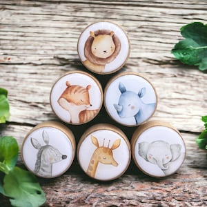 Könnte beinhalten: Sechs Holzgriffe mit verschiedenen Tierillustrationen. Die Griffe sind mit aquarellartigen Designs eines Löwen, Fuchses, Nashorns, Giraffen, Elefanten und Zebras bemalt. Die Griffe sind in Dreiecksform auf einer Holzoberfläche angeordnet.
