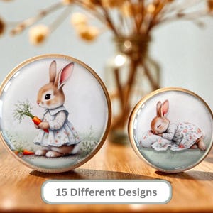 May include: Two round decorative knobs with bunny illustrations. One shows a bunny with a carrot, the other a sleeping bunny. The knobs have a wooden frame and a glass surface. The text "15 Different Designs" is at the bottom.