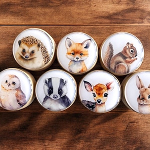 Pode incluir: Oito puxadores redondos para armários com ilustrações em aquarela de animais da floresta: um ouriço, uma raposa, um esquilo, uma coruja, um texugo, um veado e um coelho. Cada puxador tem uma borda dourada e um fundo branco.