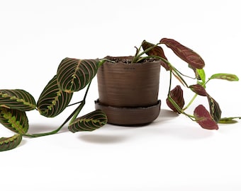 NEW! 18.0 cm | Plant pot with saucer M | Handmade Pottery | collection SOIL