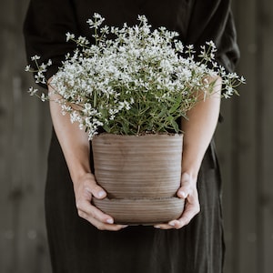 May include: A person holding a brown ceramic pot with white flowers. The pot has a textured surface and is made of two pieces.
