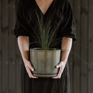 Könnte beinhalten: Eine Person hält einen großen, dunkelgrauen Keramiktopf mit einer grünen Pflanze darin. Die Pflanze hat lange, dünne Blätter und wächst in die Höhe.