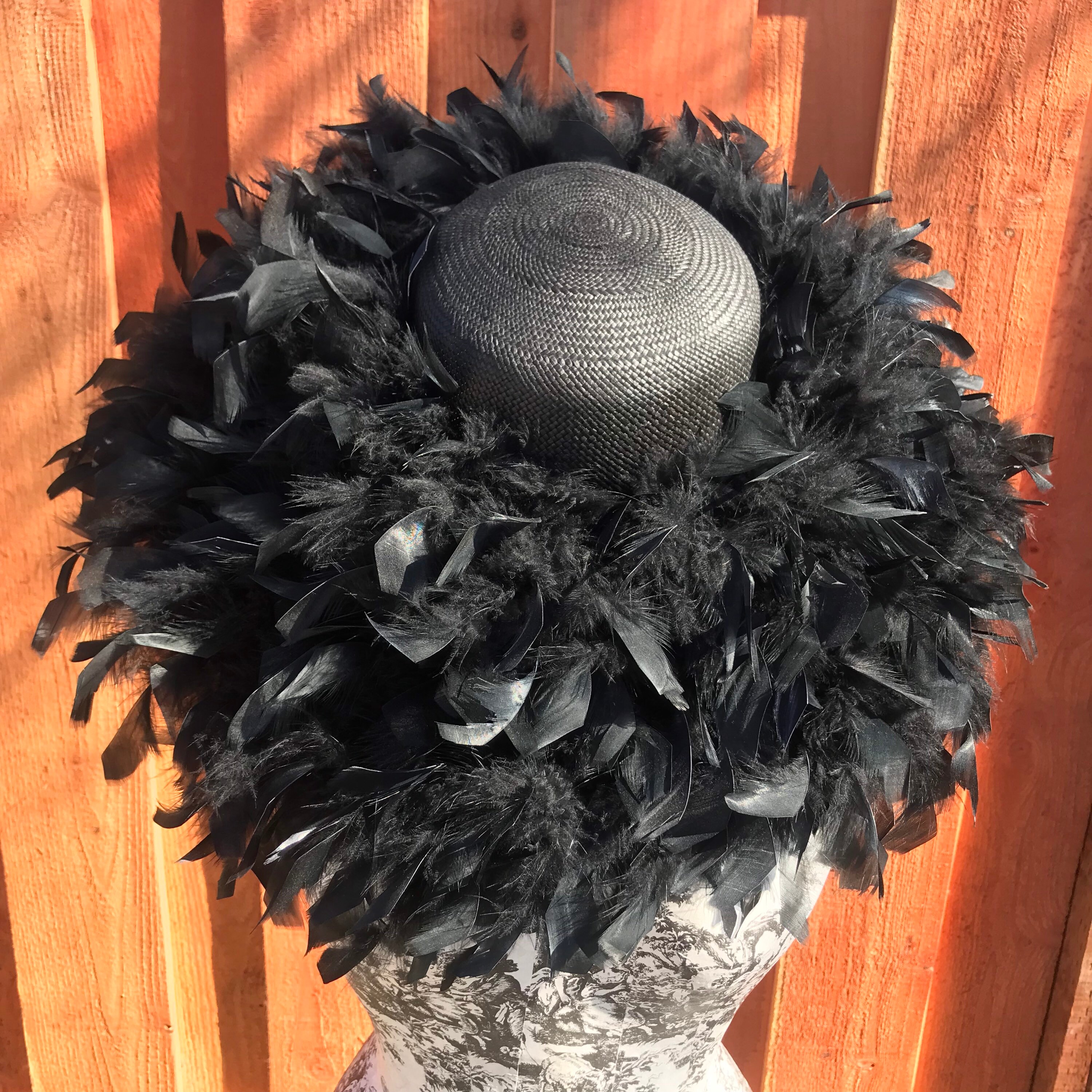 Vintage San Francisco Jax Hatz Company, Feathers,large Brim  display picture 3