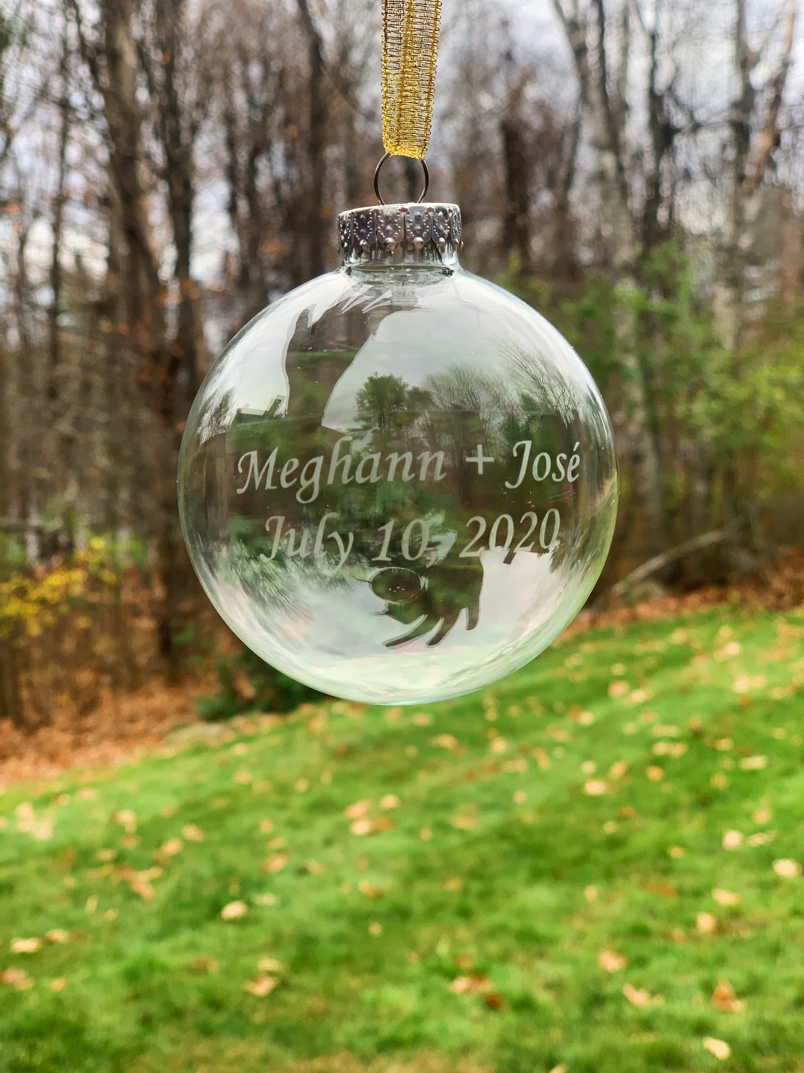 Custom Etched Glass Ornaments Personalized Ornament Etsy