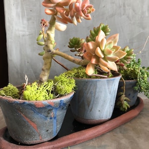 Windowsill Planter