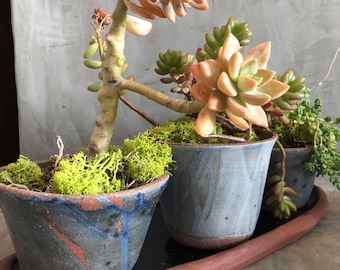Handmade Ceramic Windowsill Planter Set, Indoor Herb Garden