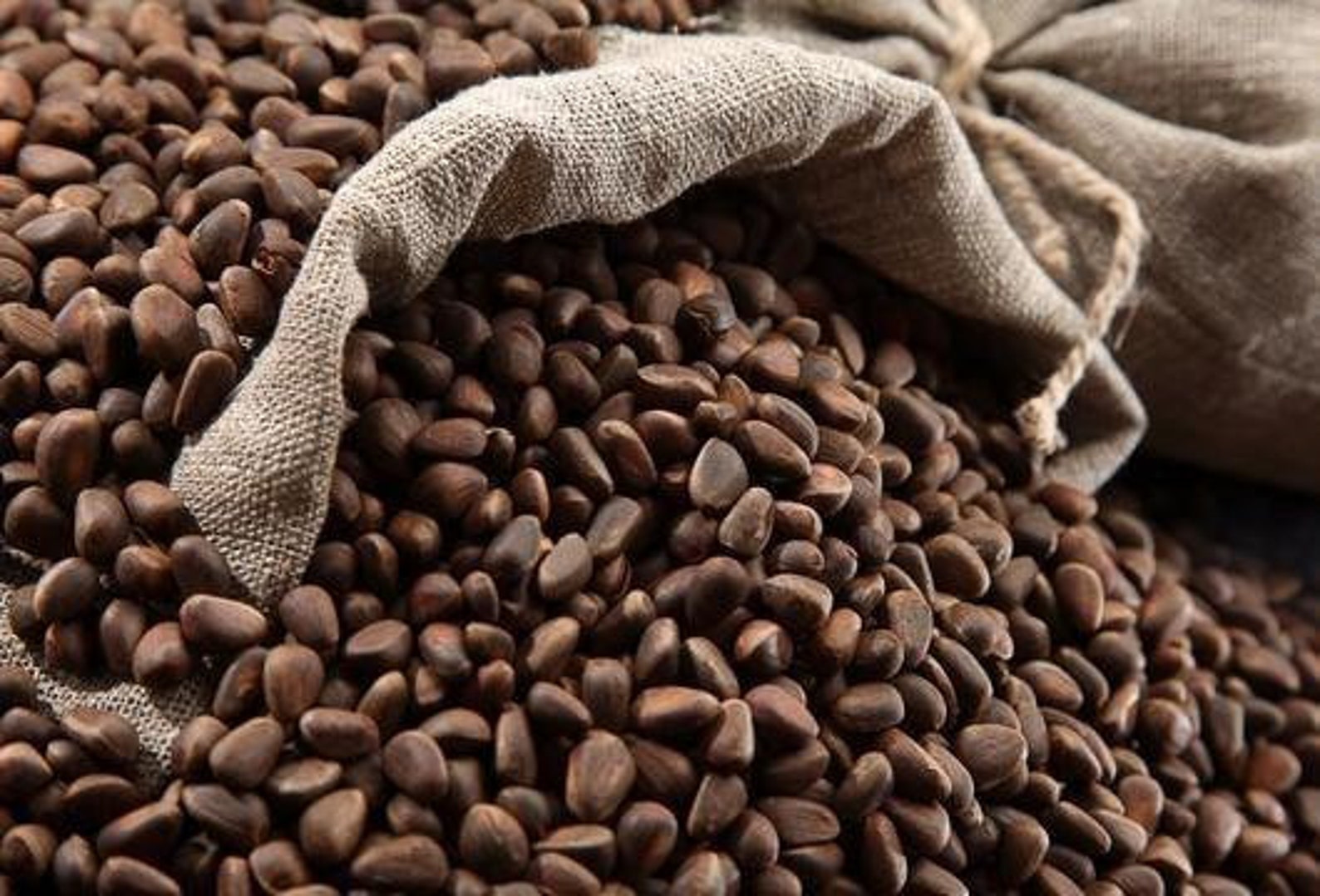 Кедровый Орех Купить В Перми