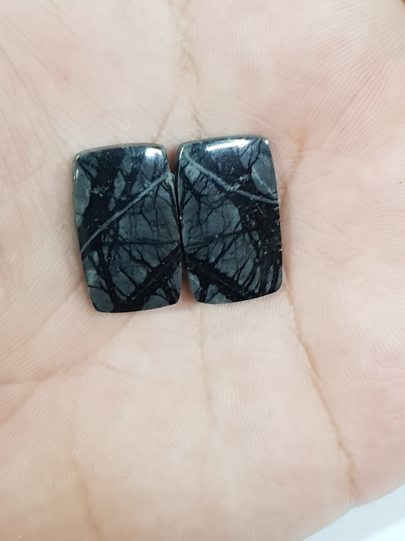 23.30 Cts Picasso Jasper Cushion Shape 22x13 mm Match Pair Loose Gemstone LP12606