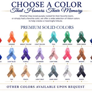 Peut inclure: Un nuancier pr&eacute;sentant vingt-quatre &eacute;chantillons de rubans dans diverses couleurs unies, notamment rouge, orange, jaune, vert, bleu, violet, rose, marron, gris, blanc et noir. Chaque ruban porte un texte imprim&eacute; et le nom de sa couleur.