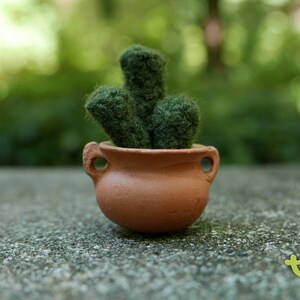 Cactus Fingers - XS
