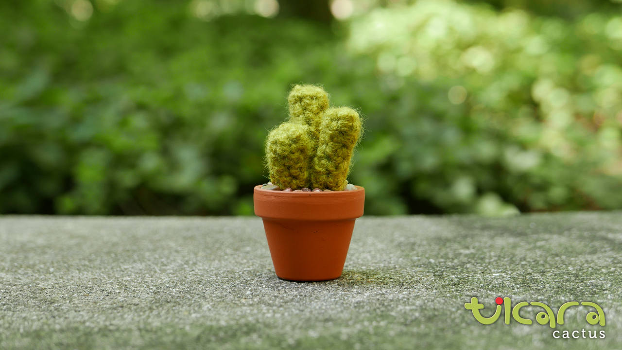 Cactus Fingers - S - Etsy