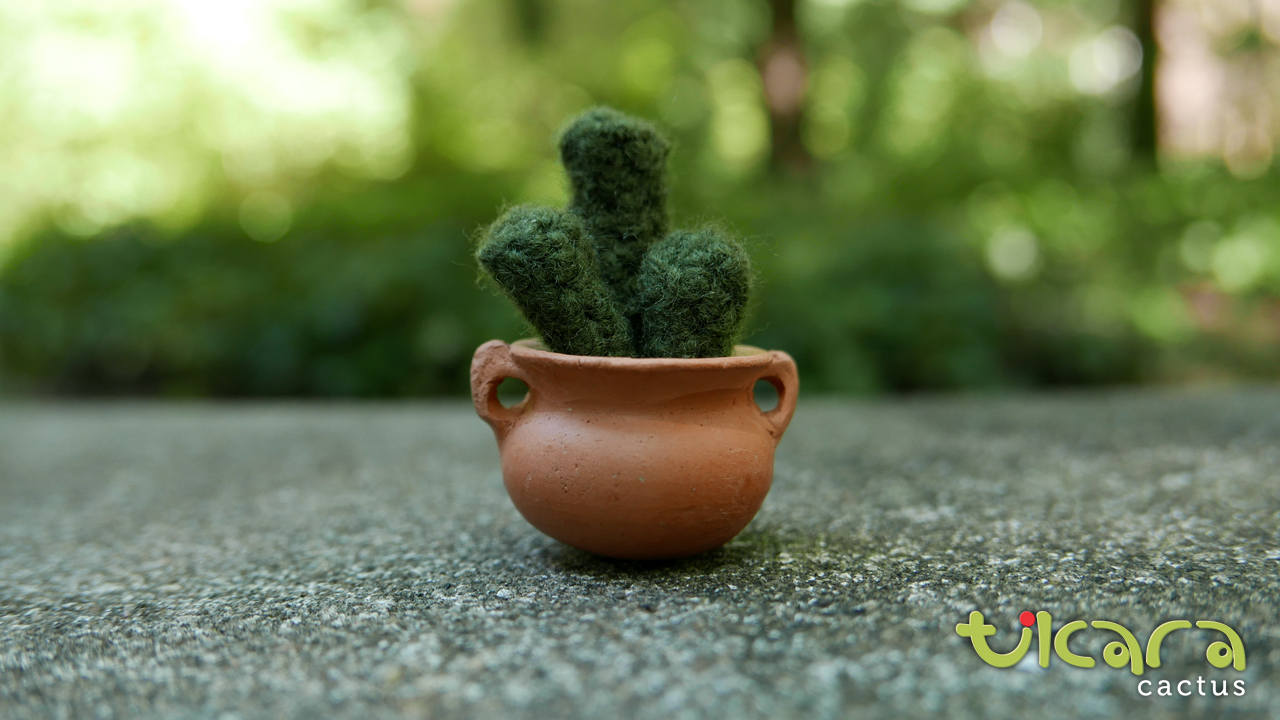 Cactus Fingers - XS - Etsy