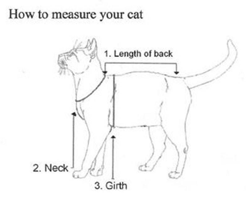 Dog Clothes Dog Clothing Dog Top Small Shirt for Dog Etsy