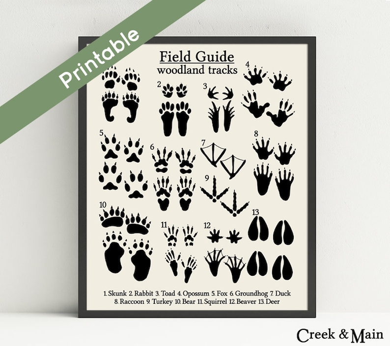 Woodland Animal Tunes, Printable Woodland Nursery Artwork, Business Lead Animal Songs, Animal Footprints, Rustic Artwork, Woodland Decor photograph regarding Printable Animal Tracks called Woodland Animal Songs, Printable Woodland Nursery Artwork, Market Marketing consultant Animal Music, Animal Footprints, Rustic Artwork, Woodland Decor