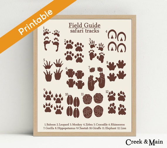 Animal Music, Safari Nursery Artwork, Printable, Jungle Bed room Decor, Animal Footprints, Animal Nursery Decor, Safari Child Shower, photo relating to Printable Animal Footprints titled Animal Songs, Safari Nursery Artwork, Printable, Jungle Bed room Decor, Animal Footprints, Animal Nursery Decor, Safari Boy or girl Shower,