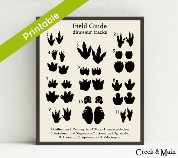 Dinosaur Music Print, Printable, Dinosaur Nursery Artwork, Animal Music, Dinosaur Footprint, Dinosaur Nursery, Small children Dinosaur Bed room, Dino Artwork image about Printable Dinosaur Footprints known as Dinosaur Songs Print, Printable, Dinosaur Nursery Artwork, Animal Music, Dinosaur Footprint, Dinosaur Nursery, Little ones Dinosaur Bed room, Dino Artwork