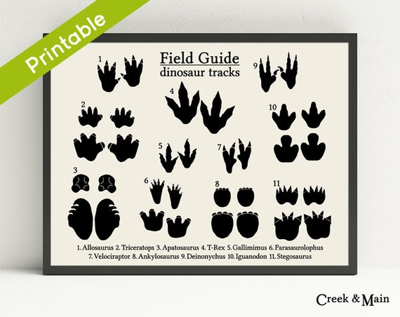 Dinosaur Footprints, Printable, Dinosaur Nursery Artwork, Animal Songs, Dinosaur Decor, Boys Bed room Wall Artwork, Dino Footprints, Nursery Print image regarding Printable Dinosaur Footprints named Dinosaur Footprints, Printable, Dinosaur Nursery Artwork, Animal Songs, Dinosaur Decor, Boys Bed room Wall Artwork, Dino Footprints, Nursery Print