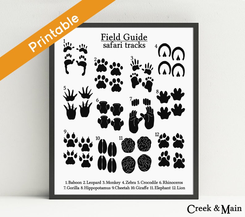 Animal Songs Print, Safari Nursery Print, Printable, Jungle Youngster Shower, Footprints, Animal Nursery Artwork, Young children Safari Bed room, Black White picture regarding Printable Animal Tracks identified as Animal Tunes Print, Safari Nursery Print, Printable, Jungle Kid Shower, Footprints, Animal Nursery Artwork, Youngsters Safari Bed room, Black White