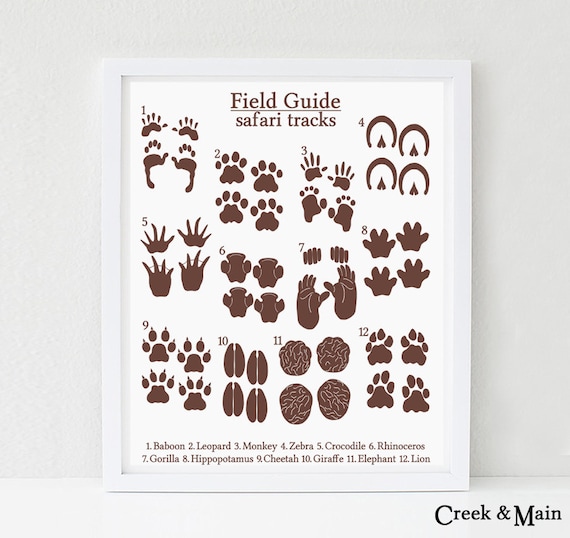 Jungle Nursery Print, Printable, Animal Tunes, Safari Youngster Shower, Animal Footprints, Animal Nursery Artwork, Young children Jungle Bed room, Safari Artwork photo about Printable Animal Tracks titled Jungle Nursery Print, Printable, Animal Songs, Safari Youngster Shower, Animal Footprints, Animal Nursery Artwork, Children Jungle Bed room, Safari Artwork