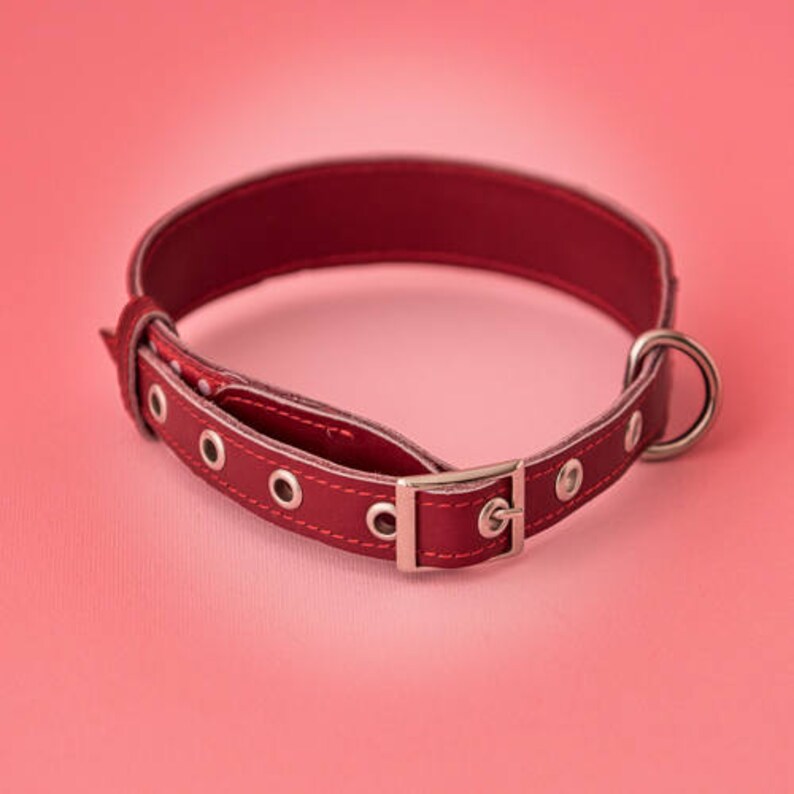 Dog Collar Leather / Polka Dot Dog Collar / Red Dog Collar / Etsy