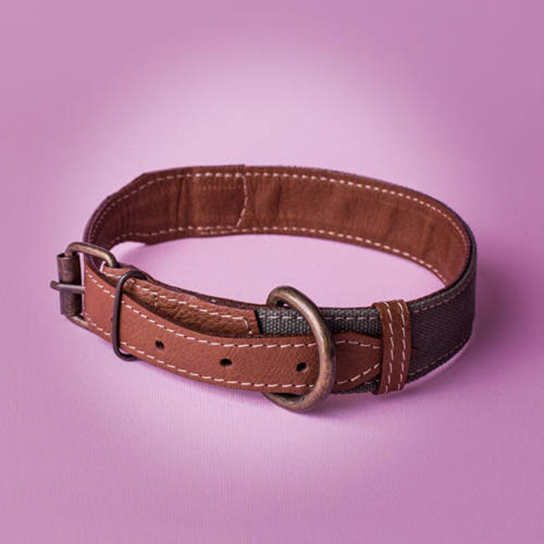 Canvas Dog Collar / Boy Dog Collar/ Leather Dog Collar / Brown Etsy