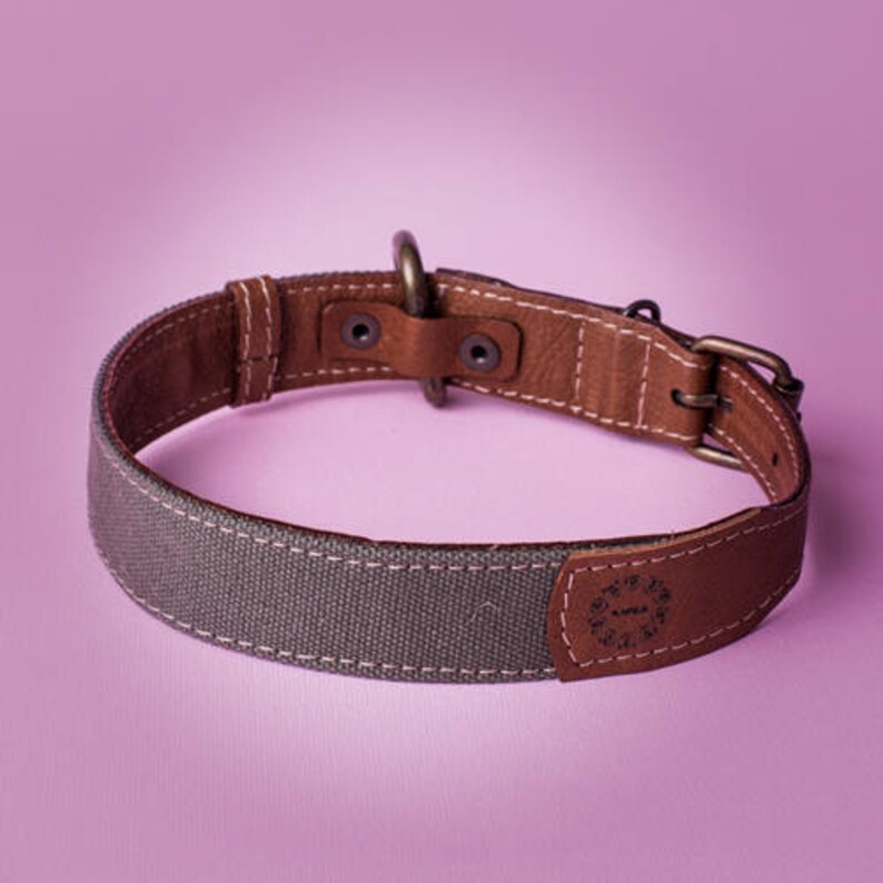 Canvas Dog Collar / Boy Dog Collar/ Leather Dog Collar / Brown Etsy
