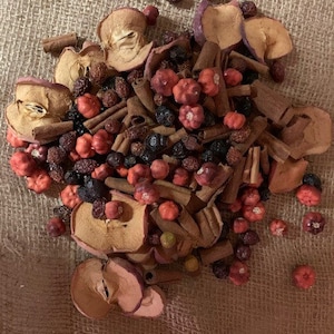 Może przedstawiać: Kolekcja suszonych plasterków jabłek, lasek cynamonu i małych czerwonych ozdobnych dyń. Ciemne jagody i inne suszone elementy są rozrzucone po aranżacji, tworząc rustykalny, jesienny motyw.