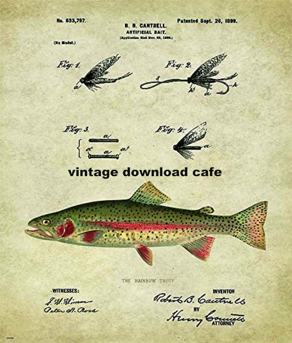 Fly Fishing Hook Lure Patent,1899 Fishing Lure, RainbowTrout Photo,Wall Art  Print,Digital Print,Gift for Fisherman,Cabin Decor,Home Decor