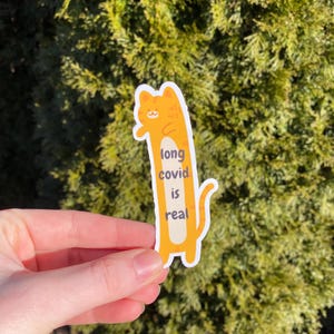 May include: Orange cat sticker with the text "long covid is real".