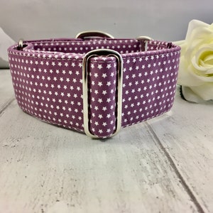 Dog Collar | Martingale Collar | Martingale Collar Purple | Martingale Collar in the UK | Martingale and Leash | Martingale collar greyhound