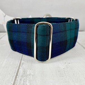 Navy blue and Green Tartan Collar | Martingale Collar | Martingale Collar and Lead | Tartan Dog Collar | Martingale Collar in the UK